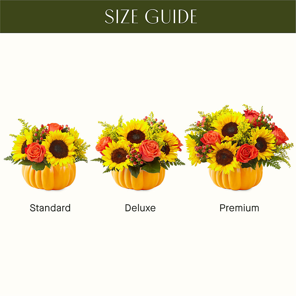 Pick of the Patch Pumpkin Bouquet – Flajes Flowers, Nutley NJ