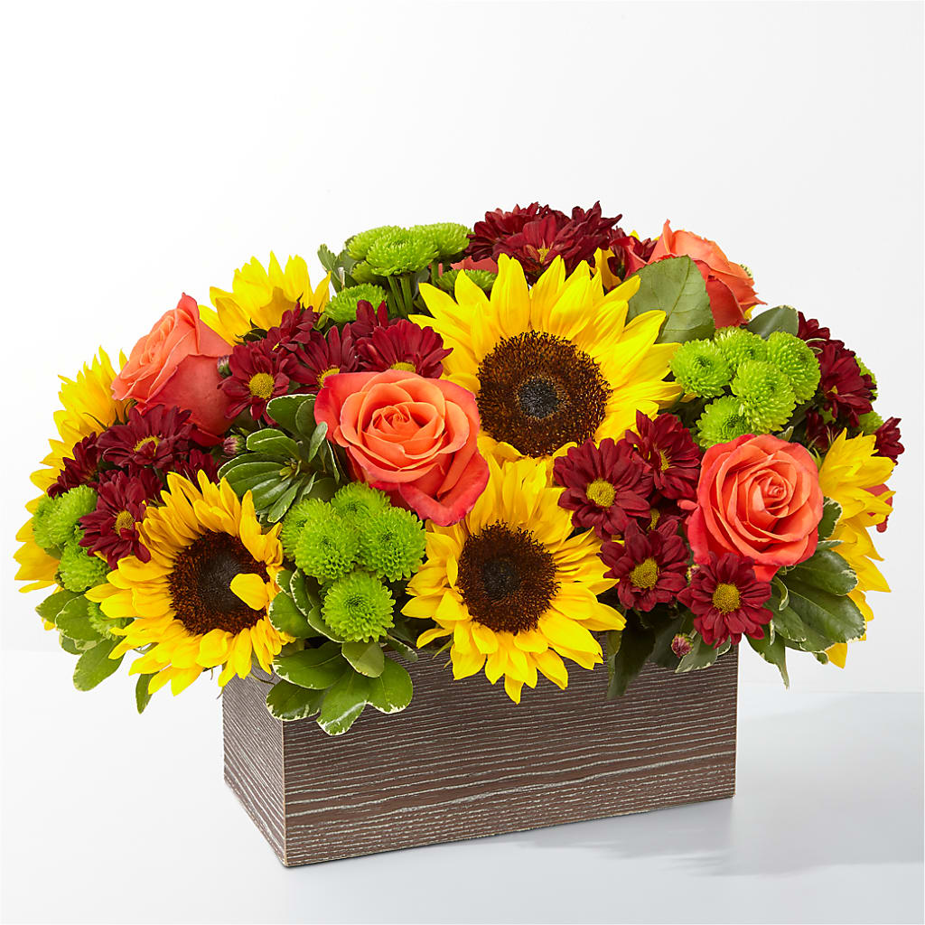 Happy Harvest Garden – Flajes Flowers, Nutley NJ