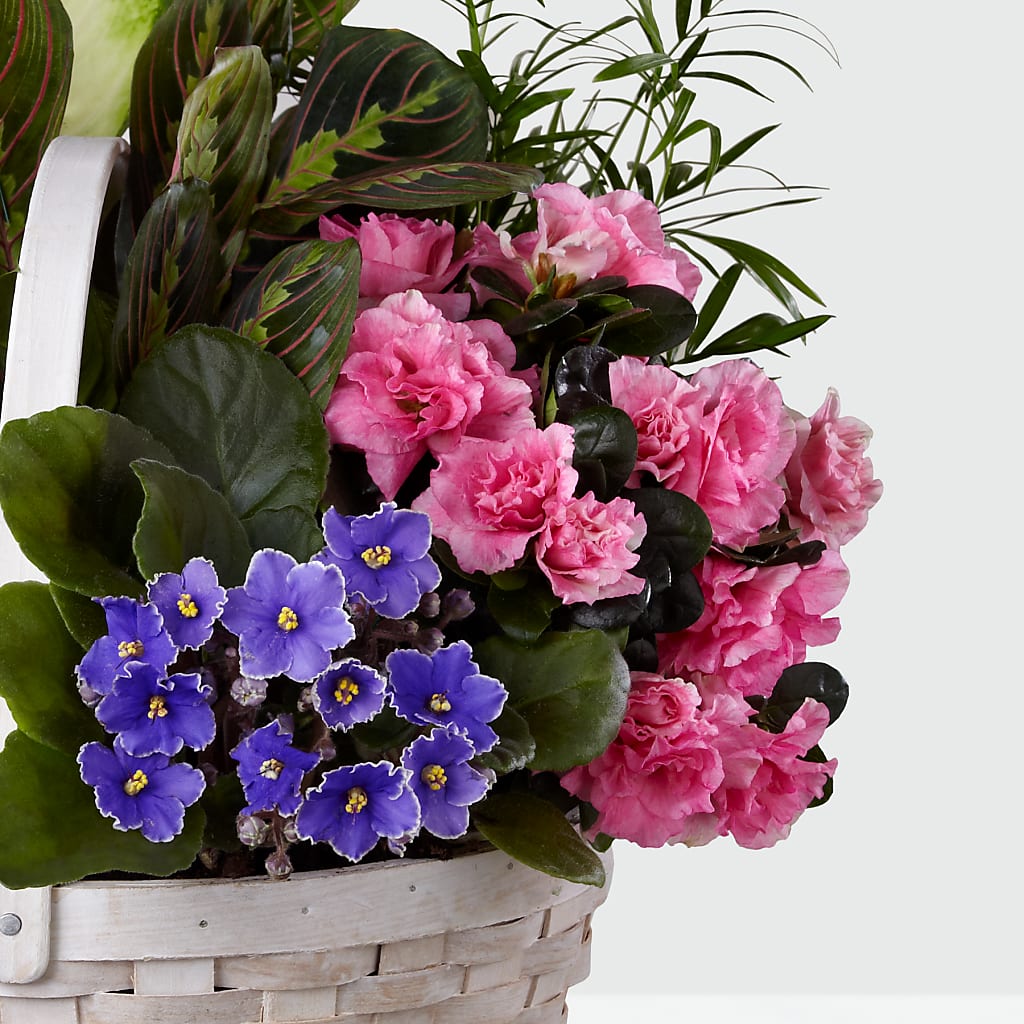 Peaceful Garden Planter – Flajes Flowers, Nutley NJ