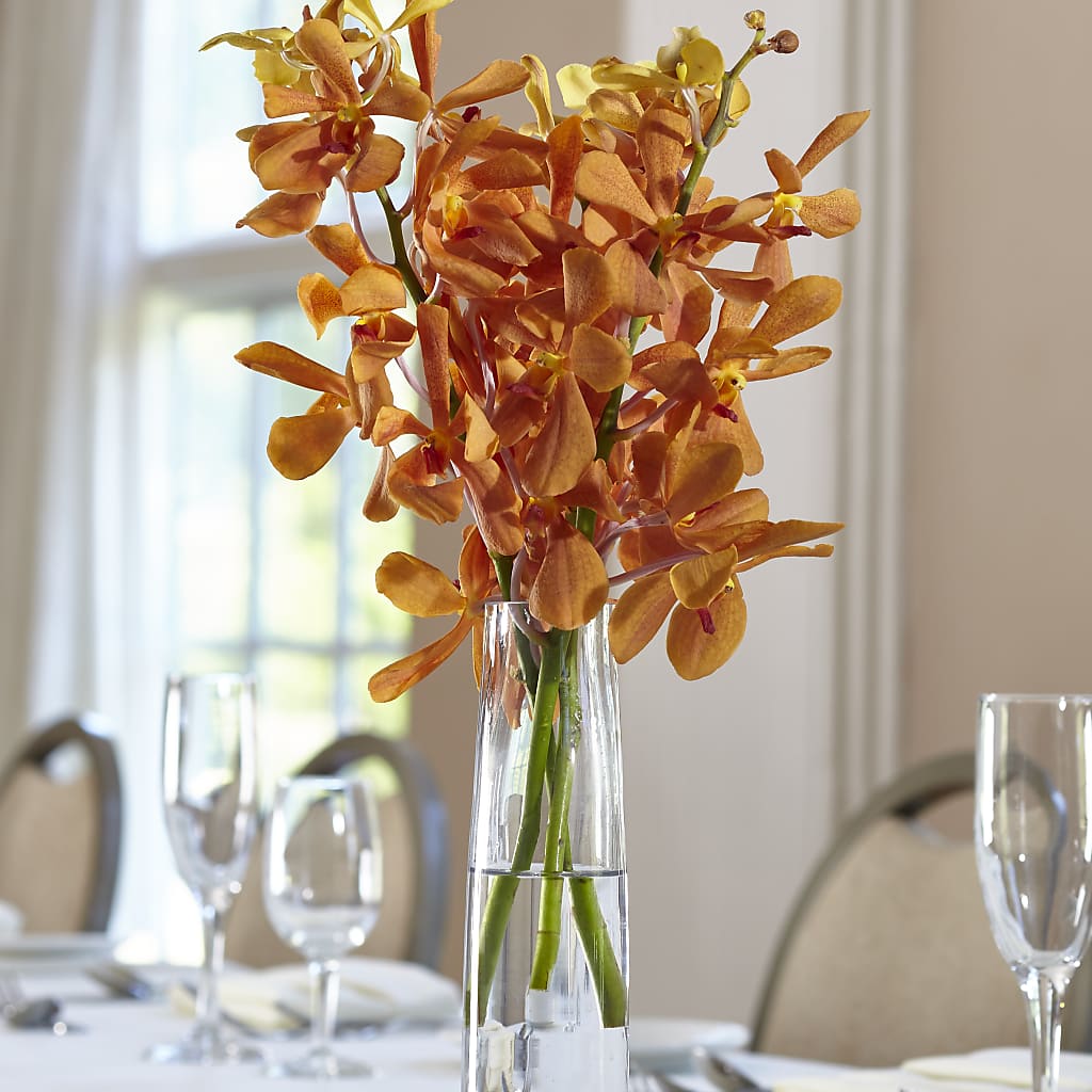 Orange Mokara Bud Vase – Flajes Flowers, Nutley NJ