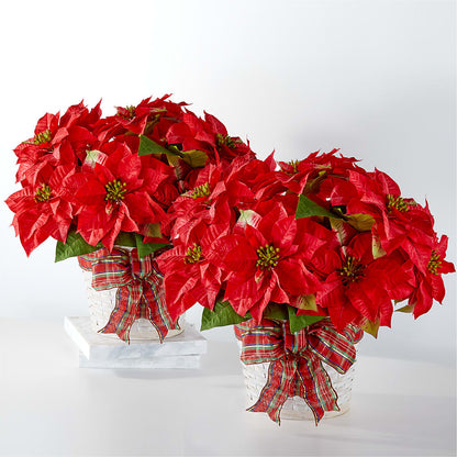 Happiest Holidays Poinsettia Bundle –  Flajes Flowers, Nutley NJ