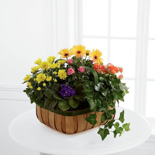 Cesta de Suaves Flores