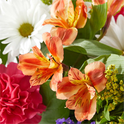Oopsie Daisy Box Bouquet –  Flajes Flowers, Nutley NJ