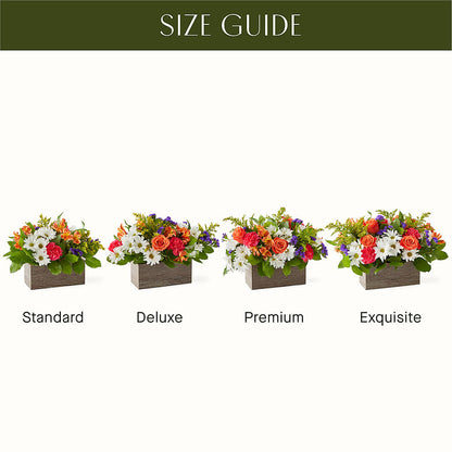 Oopsie Daisy Box Bouquet –  Flajes Flowers, Nutley NJ