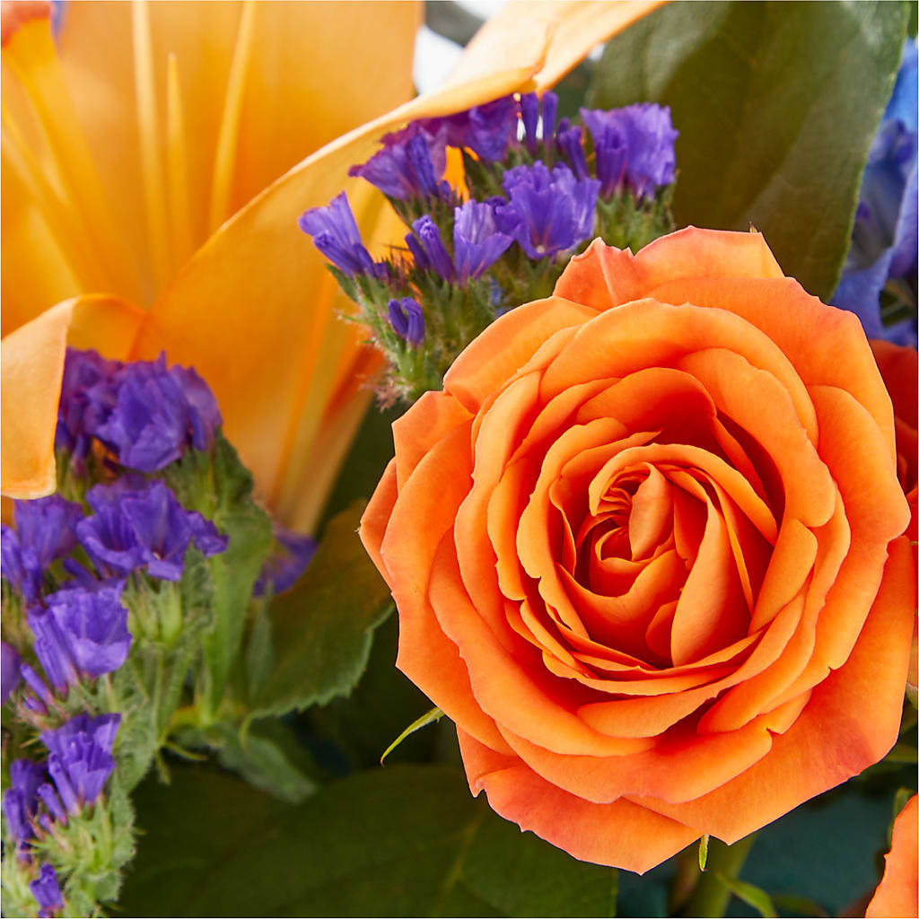 Radiant Citrus Box Bouquet –  Flajes Flowers, Nutley NJ