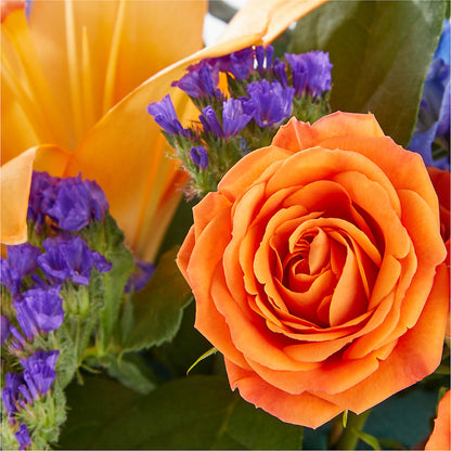 Radiant Citrus Box Bouquet –  Flajes Flowers, Nutley NJ