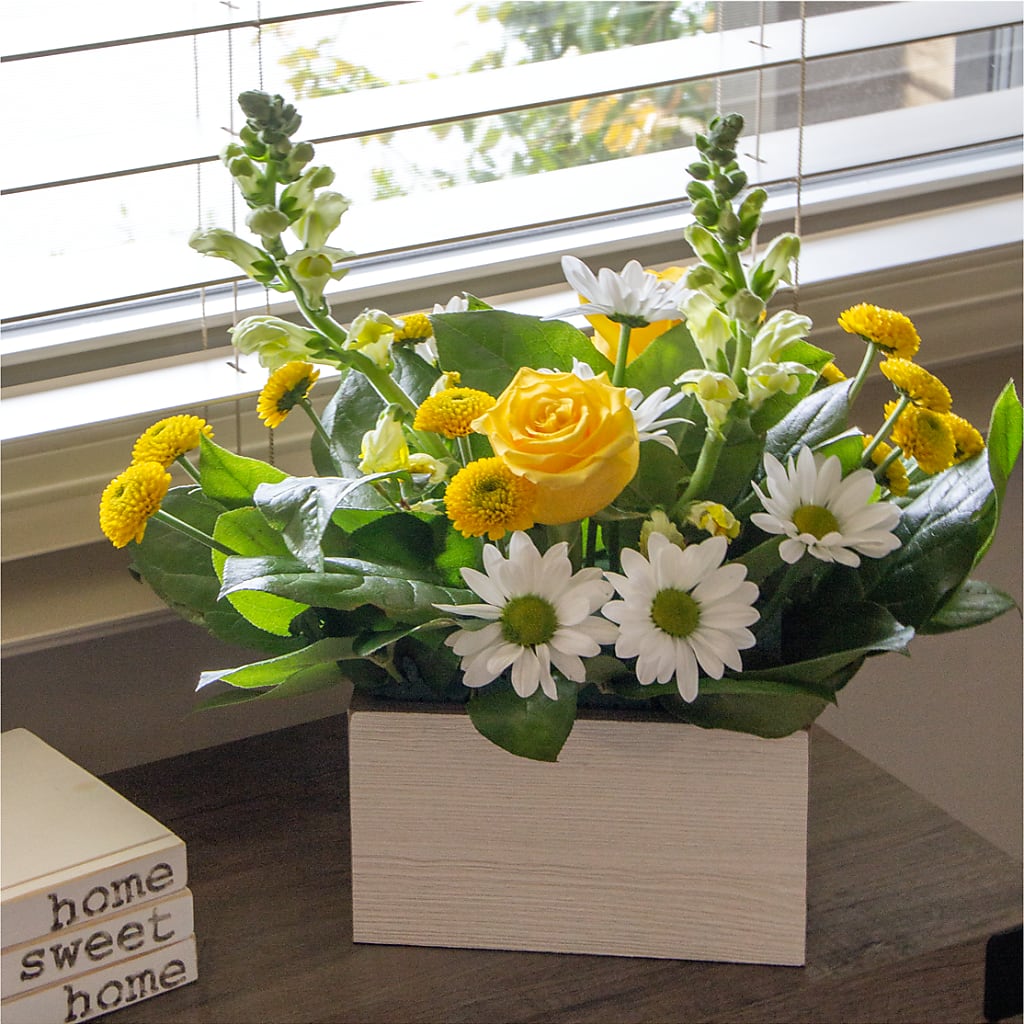 Sun Salutation Box Bouquet –  Flajes Flowers, Nutley NJ
