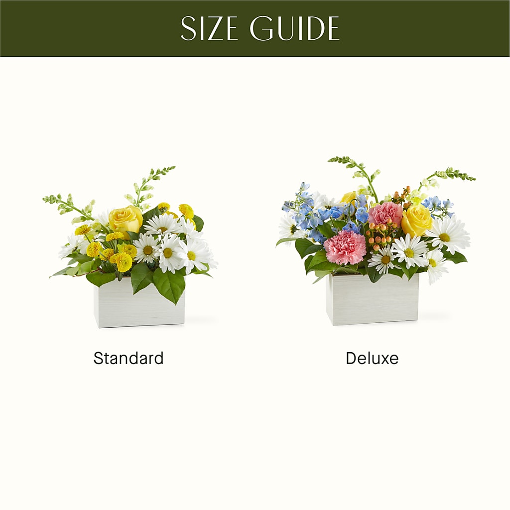 Sun Salutation Box Bouquet –  Flajes Flowers, Nutley NJ