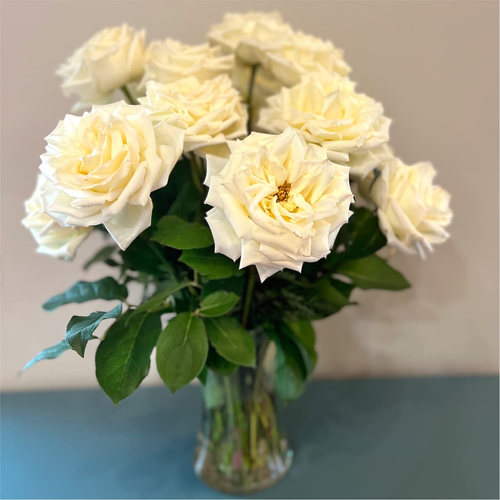 Long Stem Yellow Rose Bouquet –  Flajes Flowers, Nutley NJ