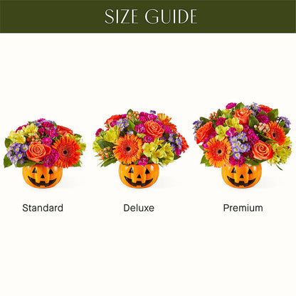 Tricks & Treats Pumpkin –  Flajes Flowers, Nutley NJ