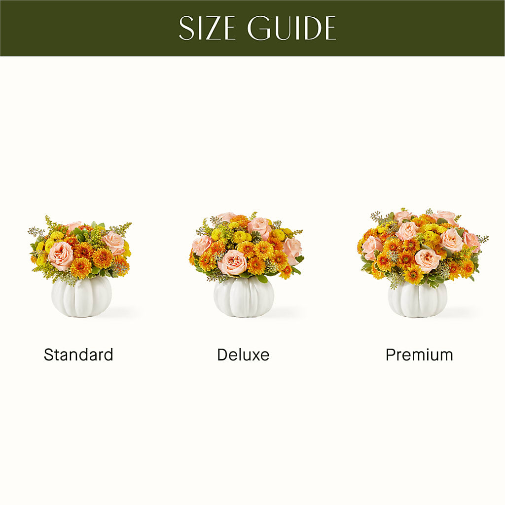 Peachy Pumpkin –  Flajes Flowers, Nutley NJ