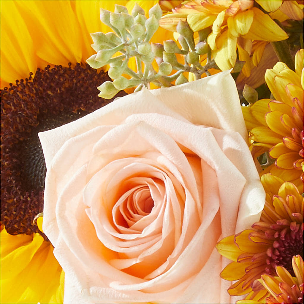 Pumpkin to Talk About Bouquet –  Flajes Flowers, Nutley NJ