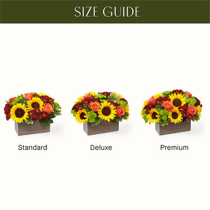 Happy Harvest Garden –  Flajes Flowers, Nutley NJ