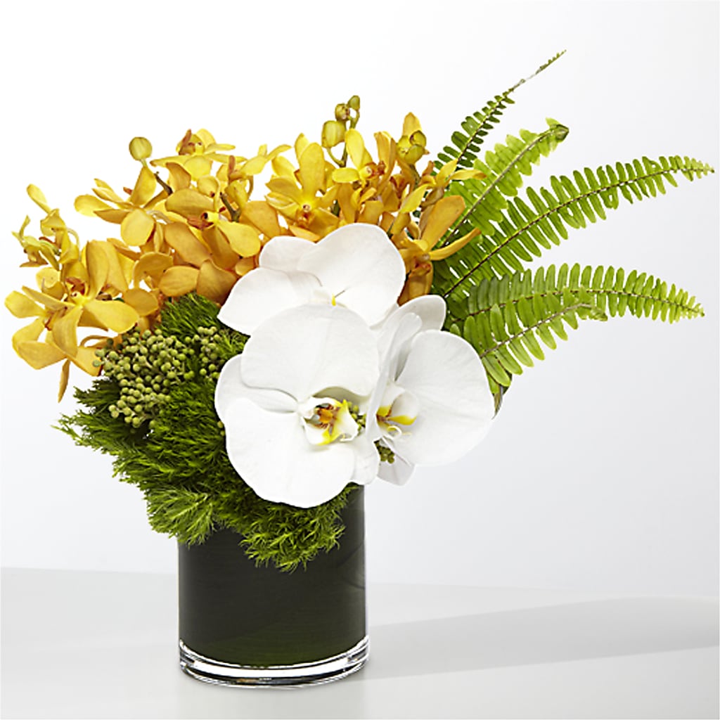 The Tropics –  Flajes Flowers, Nutley NJ