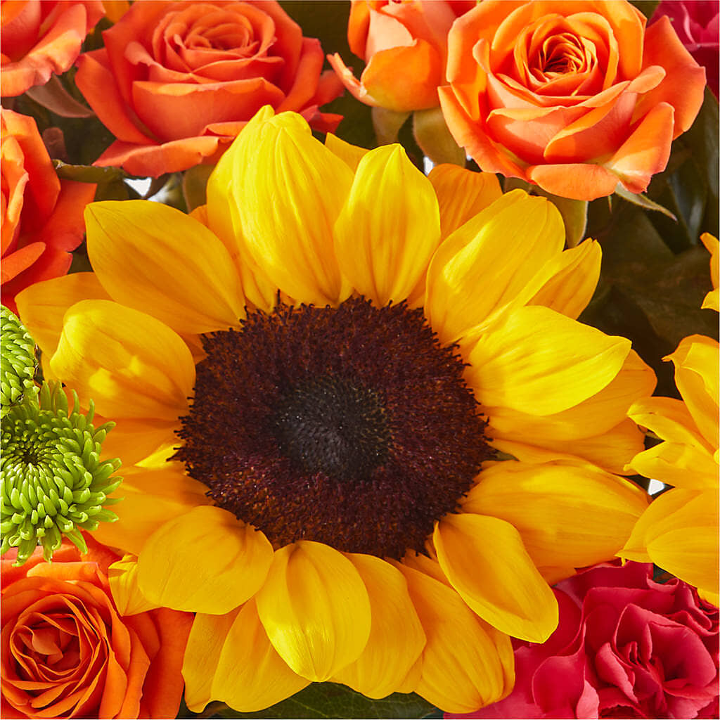 Sun-drenched Blooms Box Bouquet –  Flajes Flowers, Nutley NJ