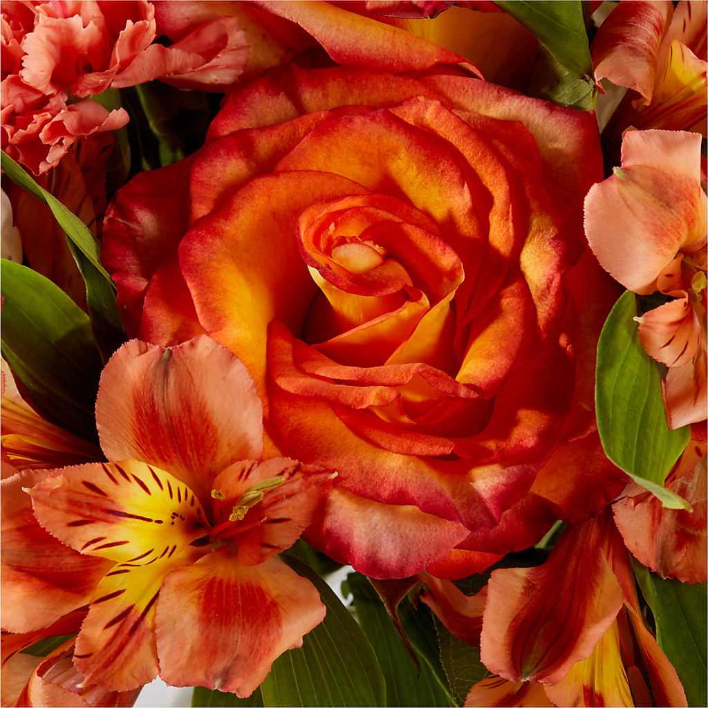 Apricot Glow Bouquet –  Flajes Flowers, Nutley NJ