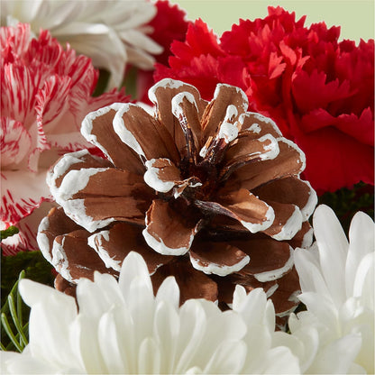 Candy Cane Lane Bouquet –  Flajes Flowers, Nutley NJ