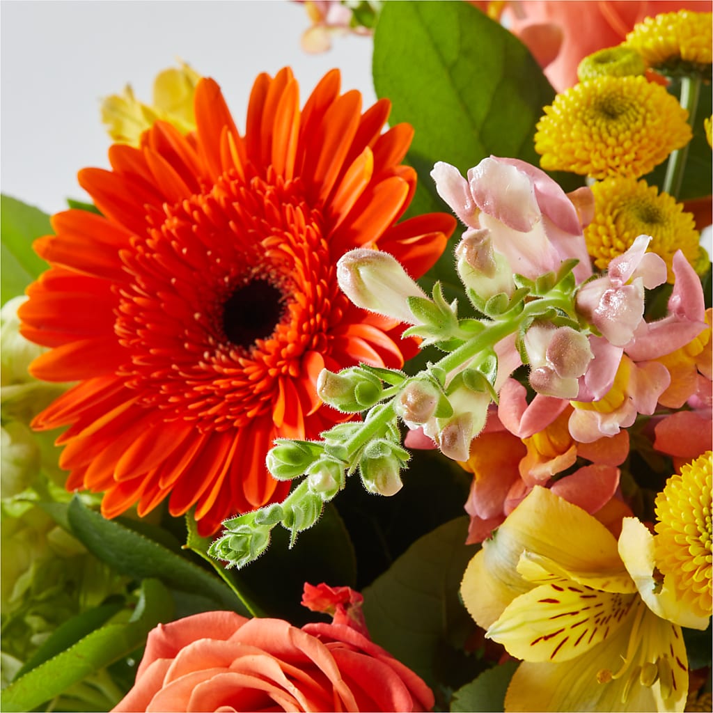Autumn Sunshine Bouquet –  Flajes Flowers, Nutley NJ