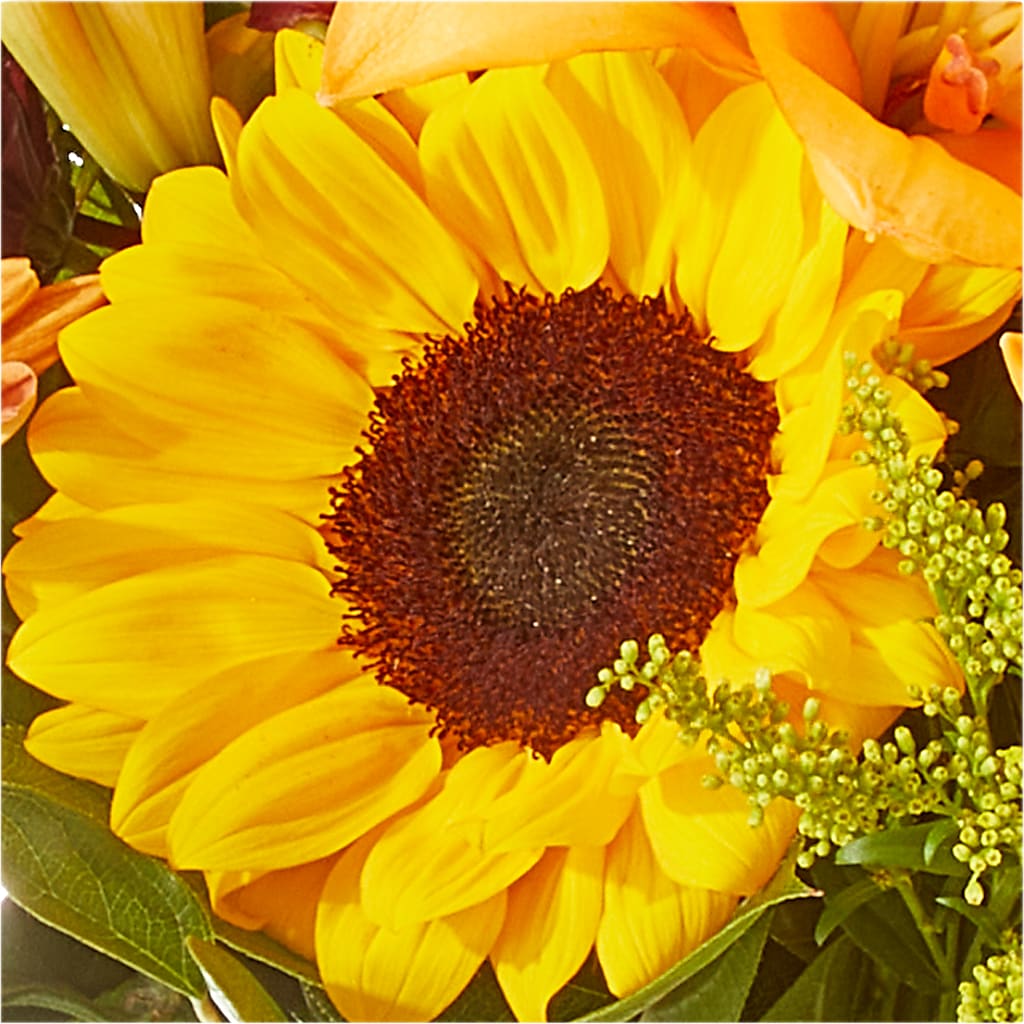 Seasons Change Bouquet –  Flajes Flowers, Nutley NJ