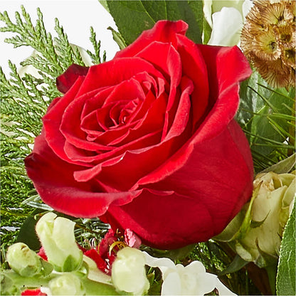 Deck the Halls Bouquet –  Flajes Flowers, Nutley NJ