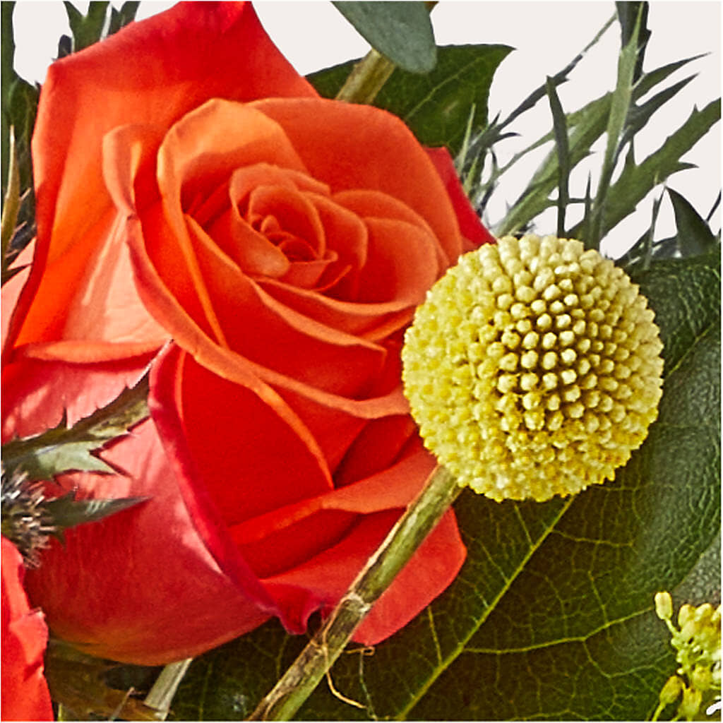 Disco Bouquet –  Flajes Flowers, Nutley NJ