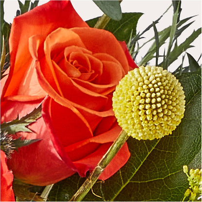 Disco Bouquet –  Flajes Flowers, Nutley NJ