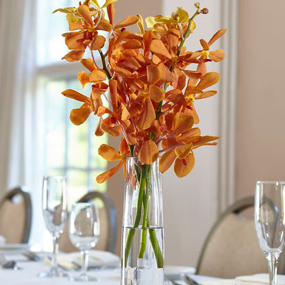 Orange Mokara Bud Vase –  Flajes Flowers, Nutley NJ