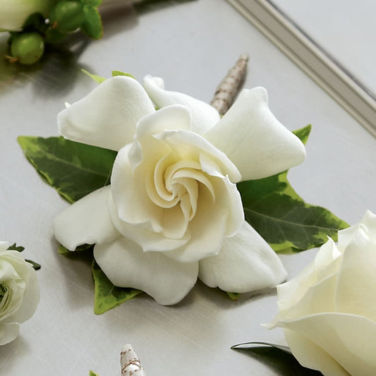 Boutonnière de gardenia